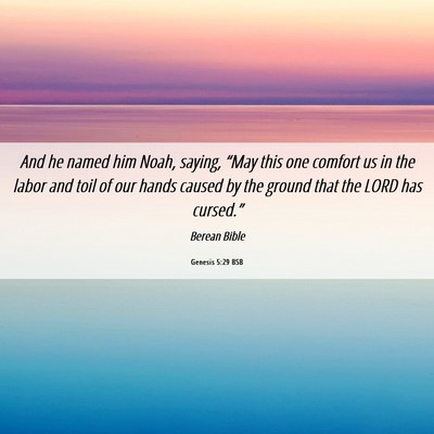 Picture 06 - Genesis 5:29 BSB - And he named him Noah, saying, “May this one - Bible Verse Picture