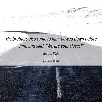 Picture 06 - Genesis 50:18 BSB - His brothers also came to him, bowed down before - Bible Verse Picture