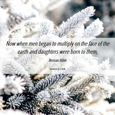 Picture 06 - Genesis 6:1 BSB - Now when men began to multiply on the face of the - Bible Verse Picture