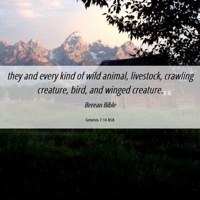 Picture 06 - Genesis 7:14 BSB - they and every kind of wild animal, livestock, - Bible Verse Picture