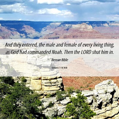 Picture 06 - Genesis 7:16 BSB - And they entered, the male and female of every - Bible Verse Picture
