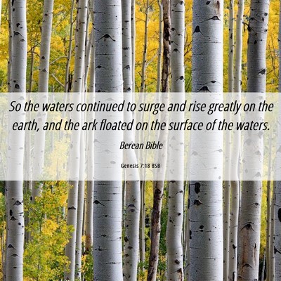 Picture 06 - Genesis 7:18 BSB - So the waters continued to surge and rise greatly - Bible Verse Picture
