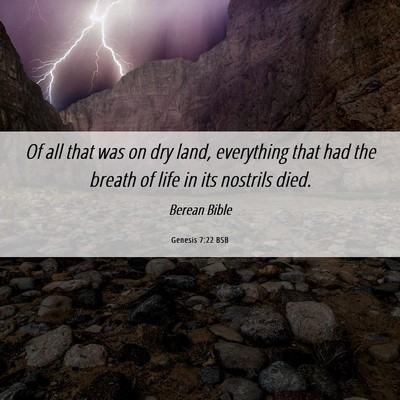 Picture 06 - Genesis 7:22 BSB - Of all that was on dry land, everything that had - Bible Verse Picture