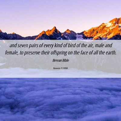 Picture 06 - Genesis 7:3 BSB - and seven pairs of every kind of bird of the air, - Bible Verse Picture