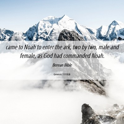 Picture 06 - Genesis 7:9 BSB - came to Noah to enter the ark, two by two, male - Bible Verse Picture