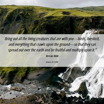 Picture 06 - Genesis 8:17 BSB - Bring out all the living creatures that are with - Bible Verse Picture