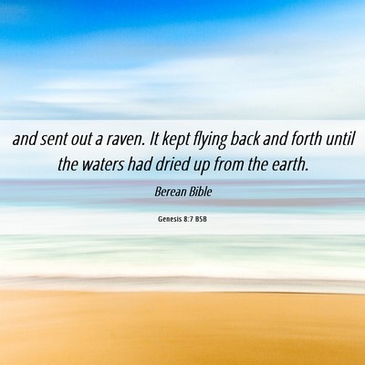 Picture 06 - Genesis 8:7 BSB - and sent out a raven. It kept flying back and - Bible Verse Picture