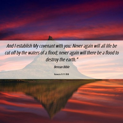 Picture 06 - Genesis 9:11 BSB - And I establish My covenant with you: Never again - Bible Verse Picture