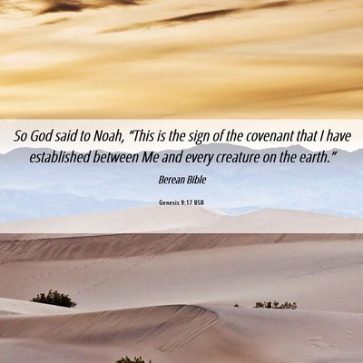 Picture 06 - Genesis 9:17 BSB - So God said to Noah, “This is the sign of the - Bible Verse Picture