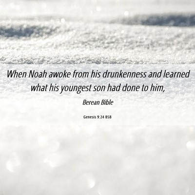 Picture 06 - Genesis 9:24 BSB - When Noah awoke from his drunkenness and learned - Bible Verse Picture