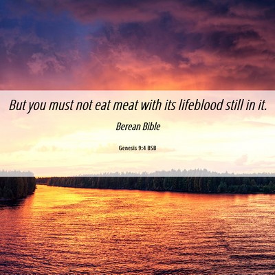 Picture 06 - Genesis 9:4 BSB - But you must not eat meat with its lifeblood - Bible Verse Picture