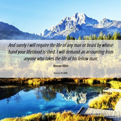 Picture 06 - Genesis 9:5 BSB - And surely I will require the life of any man or - Bible Verse Picture
