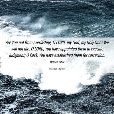 Picture 06 - Habakkuk 1:12 BSB - Are You not from everlasting, O LORD, my God, my - Bible Verse Picture