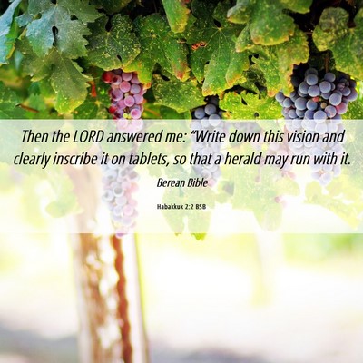Picture 06 - Habakkuk 2:2 BSB - Then the LORD answered me: “Write down this - Bible Verse Picture