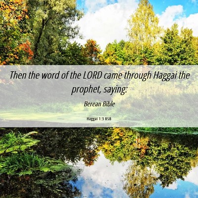 Picture 06 - Haggai 1:3 BSB - Then the word of the LORD came through Haggai the - Bible Verse Picture