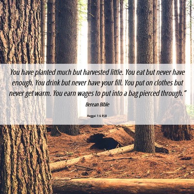 Picture 06 - Haggai 1:6 BSB - You have planted much but harvested little. You - Bible Verse Picture