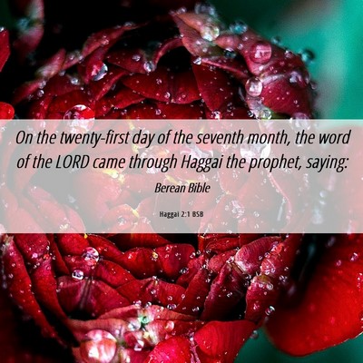 Picture 06 - Haggai 2:1 BSB - On the twenty-first day of the seventh month, the - Bible Verse Picture