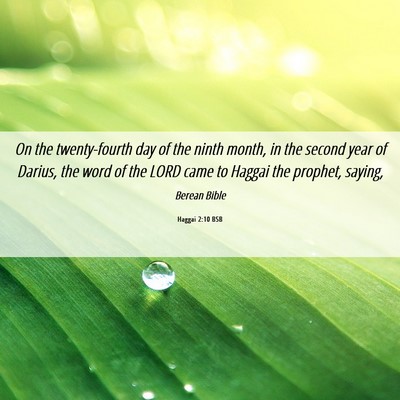 Picture 06 - Haggai 2:10 BSB - On the twenty-fourth day of the ninth month, in - Bible Verse Picture