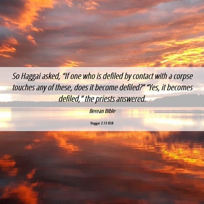 Picture 06 - Haggai 2:13 BSB - So Haggai asked, “If one who is defiled by - Bible Verse Picture