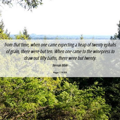 Picture 06 - Haggai 2:16 BSB - from that time, when one came expecting a heap of - Bible Verse Picture