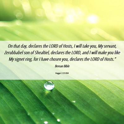Picture 06 - Haggai 2:23 BSB - On that day, declares the LORD of Hosts, I will - Bible Verse Picture