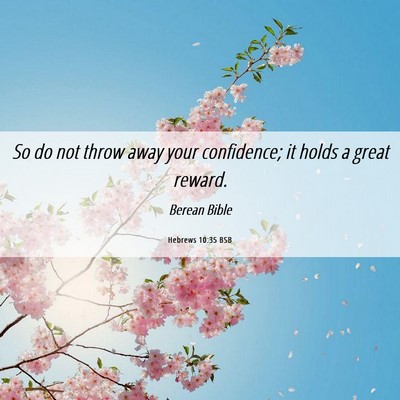 Picture 06 - Hebrews 10:35 BSB - So do not throw away your confidence; it holds a - Bible Verse Picture