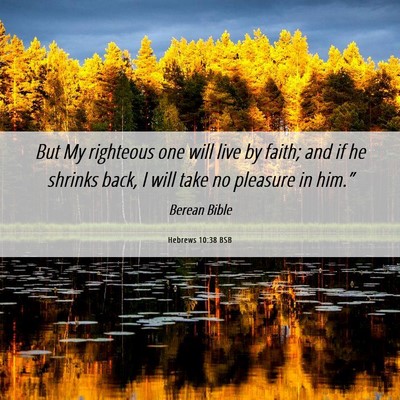 Picture 06 - Hebrews 10:38 BSB - But My righteous one will live by faith; and if - Bible Verse Picture