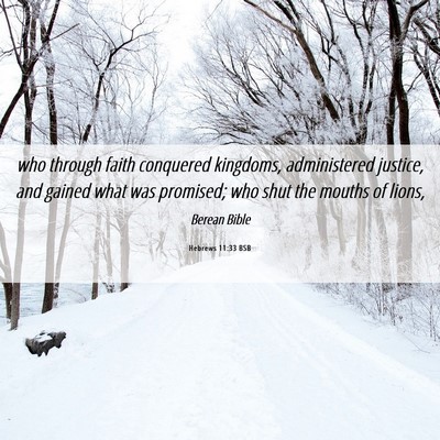 Picture 06 - Hebrews 11:33 BSB - who through faith conquered kingdoms, - Bible Verse Picture