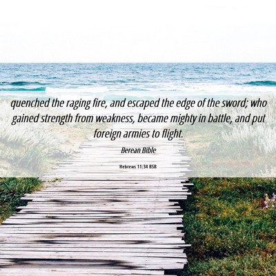 Picture 06 - Hebrews 11:34 BSB - quenched the raging fire, and escaped the edge of - Bible Verse Picture