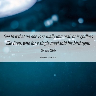 Picture 06 - Hebrews 12:16 BSB - See to it that no one is sexually immoral, or is - Bible Verse Picture