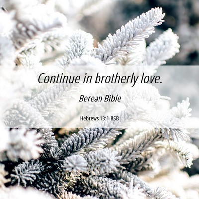 Picture 06 - Hebrews 13:1 BSB - Continue in brotherly - Bible Verse Picture