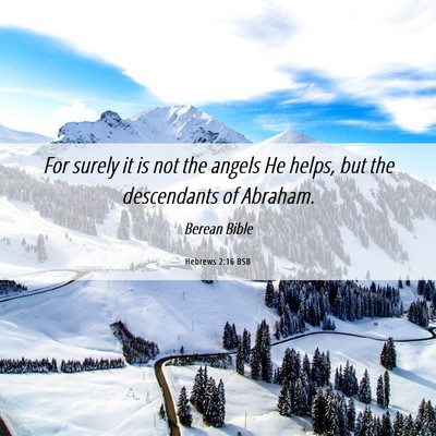 Picture 06 - Hebrews 2:16 BSB - For surely it is not the angels He helps, but the - Bible Verse Picture