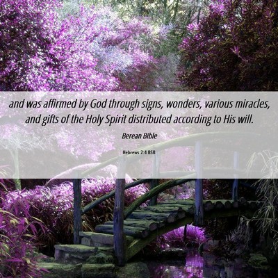 Picture 06 - Hebrews 2:4 BSB - and was affirmed by God through signs, wonders, - Bible Verse Picture