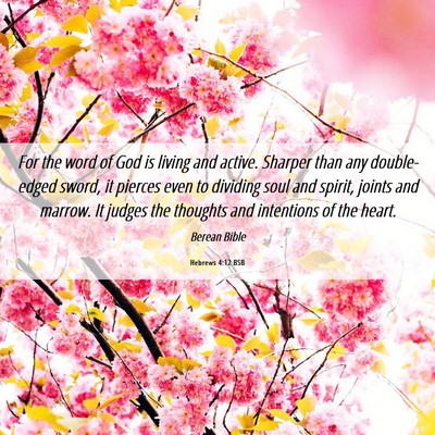 Picture 06 - Hebrews 4:12 BSB - For the word of God is living and active. Sharper - Bible Verse Picture