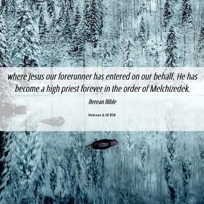 Picture 06 - Hebrews 6:20 BSB - where Jesus our forerunner has entered on our - Bible Verse Picture