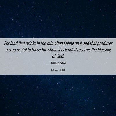 Picture 06 - Hebrews 6:7 BSB - For land that drinks in the rain often falling on - Bible Verse Picture