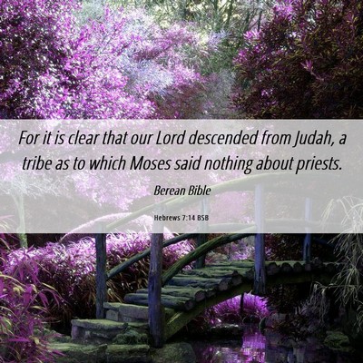 Picture 06 - Hebrews 7:14 BSB - For it is clear that our Lord descended from - Bible Verse Picture