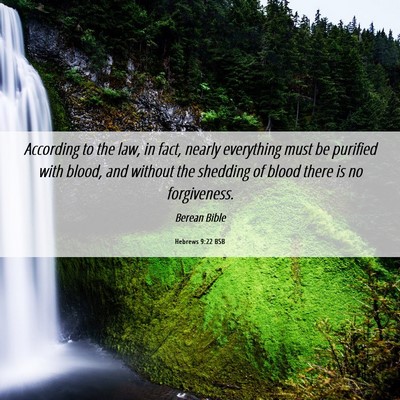 Picture 06 - Hebrews 9:22 BSB - According to the law, in fact, nearly everything - Bible Verse Picture