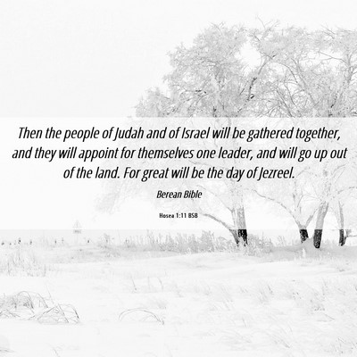 Picture 06 - Hosea 1:11 BSB - Then the people of Judah and of Israel will be - Bible Verse Picture
