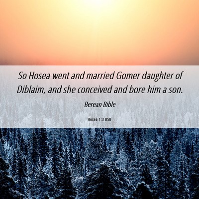 Picture 06 - Hosea 1:3 BSB - So Hosea went and married Gomer daughter of - Bible Verse Picture