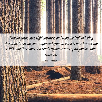 Picture 06 - Hosea 10:12 BSB - Sow for yourselves righteousness and reap the - Bible Verse Picture