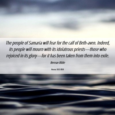 Picture 06 - Hosea 10:5 BSB - The people of Samaria will fear for the calf of - Bible Verse Picture