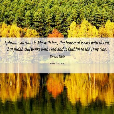 Picture 06 - Hosea 11:12 BSB - Ephraim surrounds Me with lies, the house of - Bible Verse Picture