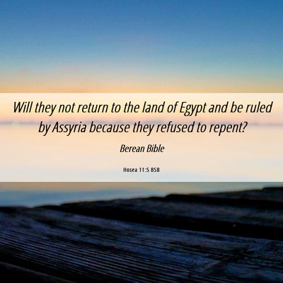Picture 06 - Hosea 11:5 BSB - Will they not return to the land of Egypt and be - Bible Verse Picture