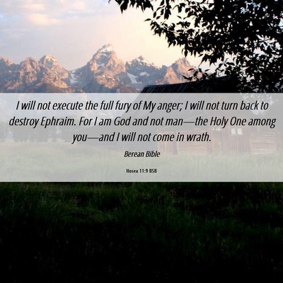 Picture 06 - Hosea 11:9 BSB - I will not execute the full fury of My anger; I - Bible Verse Picture