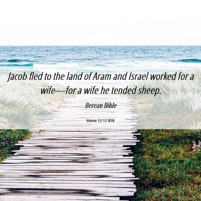 Picture 06 - Hosea 12:12 BSB - Jacob fled to the land of Aram and Israel worked - Bible Verse Picture