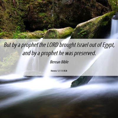 Picture 06 - Hosea 12:13 BSB - But by a prophet the LORD brought Israel out of - Bible Verse Picture