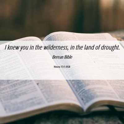 Picture 06 - Hosea 13:5 BSB - I knew you in the wilderness, in the land of - Bible Verse Picture