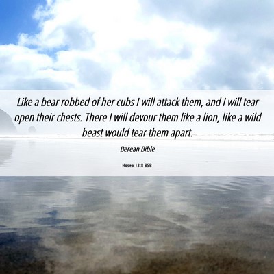 Picture 06 - Hosea 13:8 BSB - Like a bear robbed of her cubs I will attack - Bible Verse Picture