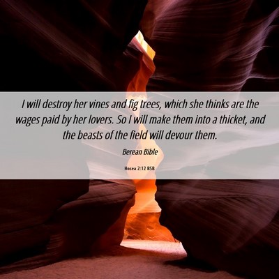 Picture 06 - Hosea 2:12 BSB - I will destroy her vines and fig trees, which she - Bible Verse Picture